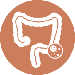 intolleranze alimentari idrocolonterapia toscana